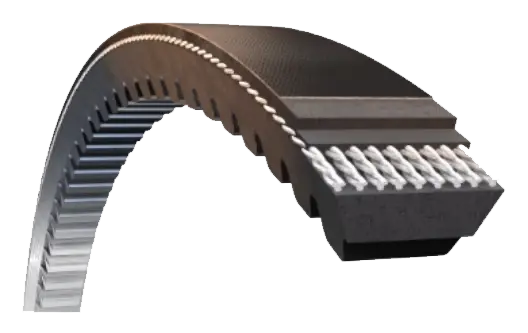 Tırtıllı V Kayışları